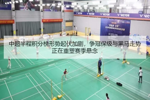 中超半程积分榜形势起伏加剧，争冠保级与黑马走势正在重塑赛季悬念